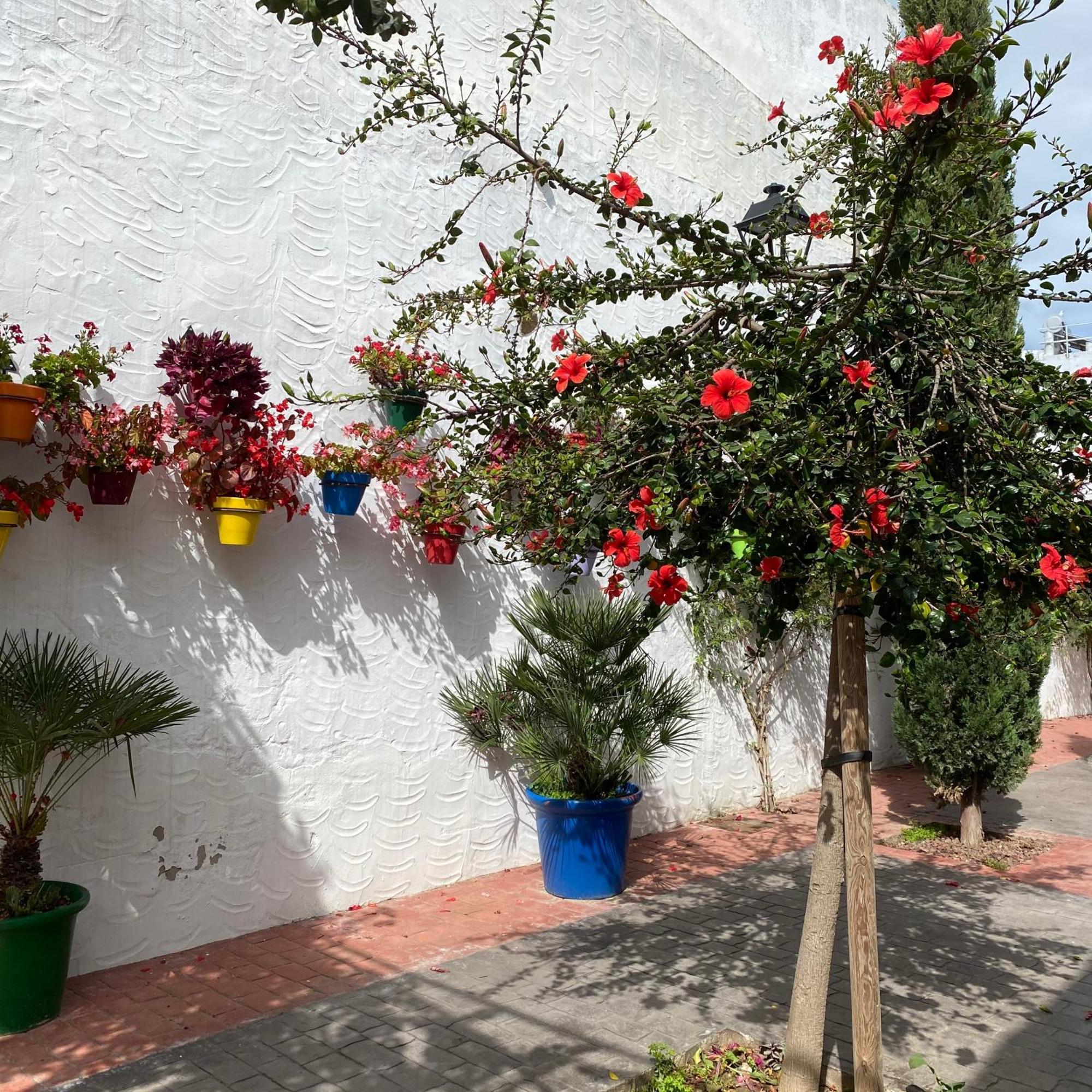 Appartamento Casa San Miguel Estepona Esterno foto